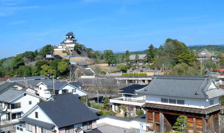 掛川ライフ