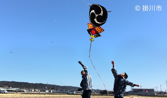 遠州横須賀凧揚げまつり